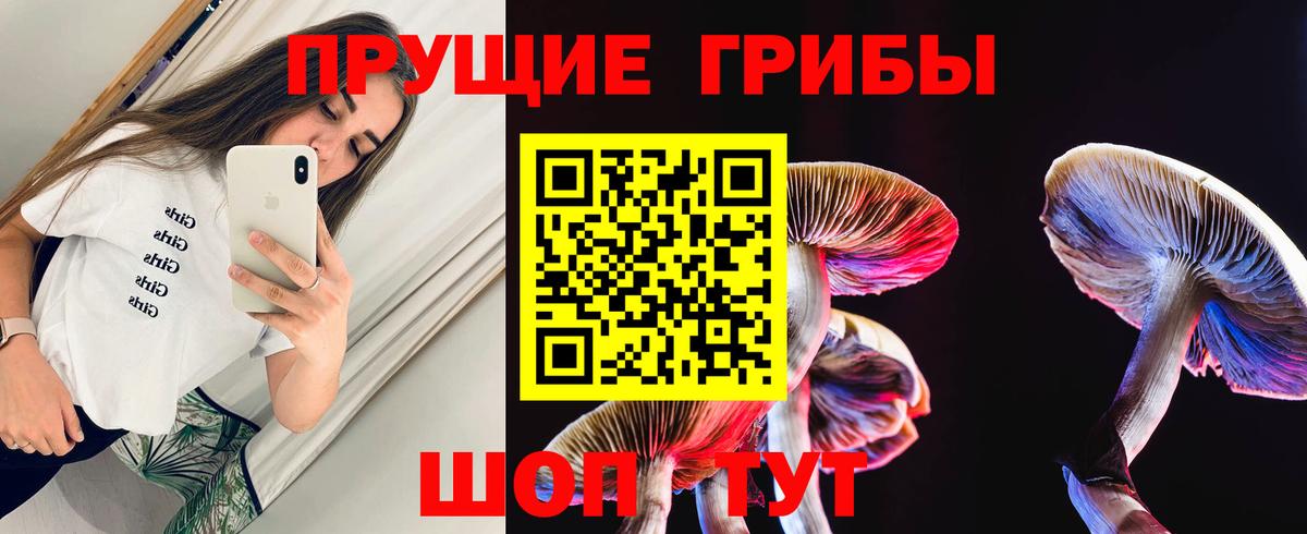 Галлюциногенные грибы прущие грибы Одинцово