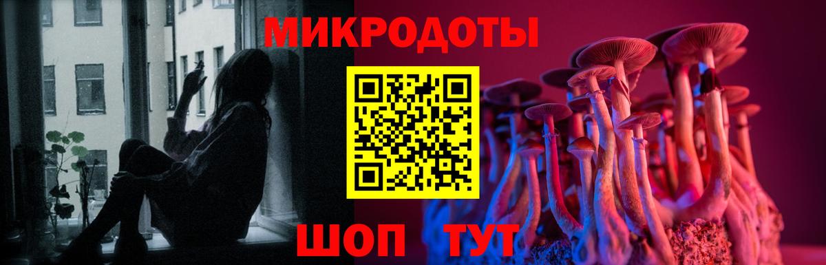 Одинцово  сколько стоит  Вход с VPN  Псилоцибиновые грибы Psilocybe 
